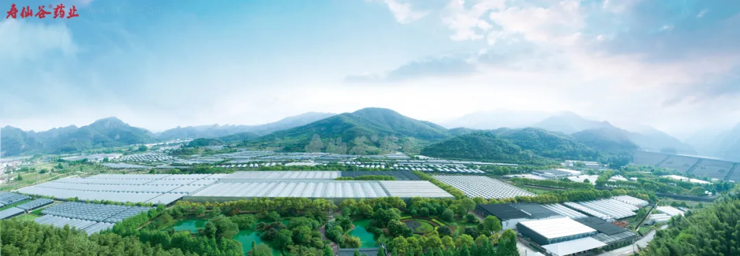 浙江&#97;&#103;&#24196;&#38386;医药股份有限公司